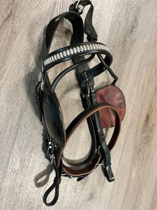 Denis Clausen and Bella